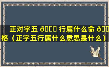 正对字五 🐟 行属什么命 🐬 格（正字五行属什么意思是什么）